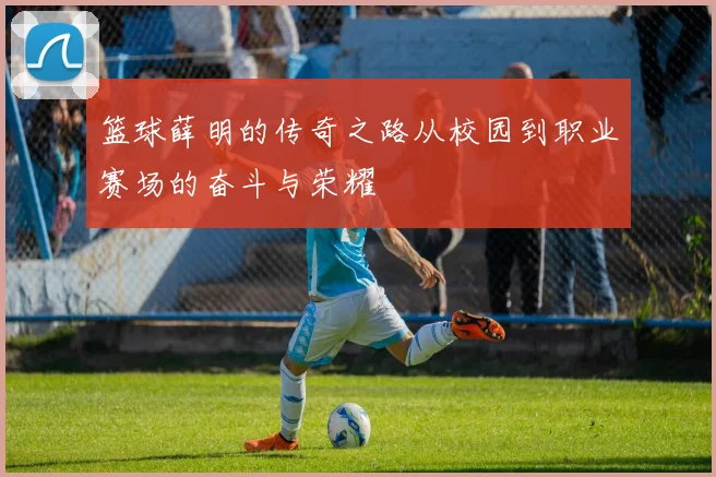 篮球薛明的传奇之路从校园到职业赛场的奋斗与荣耀