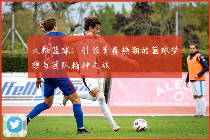 大翔篮球：引领青春热潮的篮球梦想与团队精神之旅