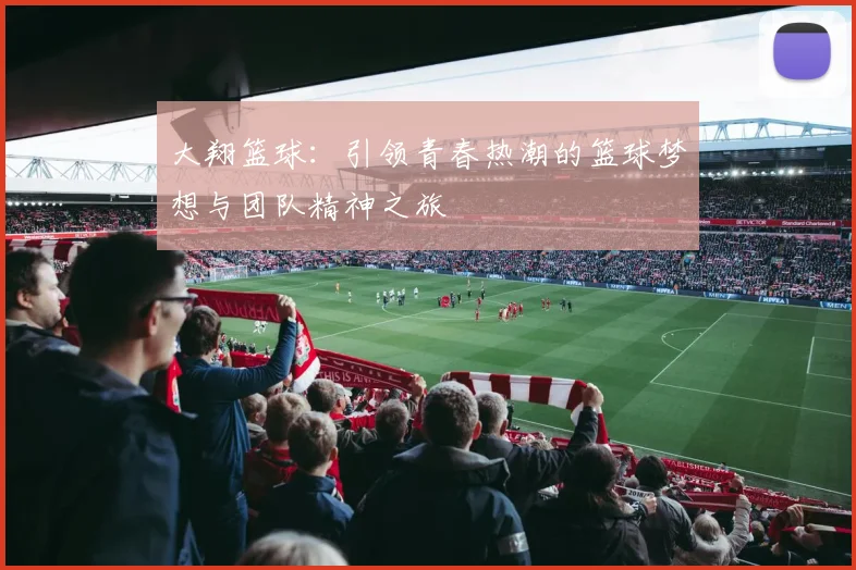 大翔篮球：引领青春热潮的篮球梦想与团队精神之旅