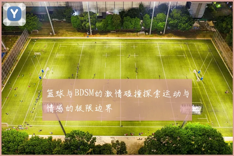 篮球与BDSM的激情碰撞探索运动与情感的极限边界