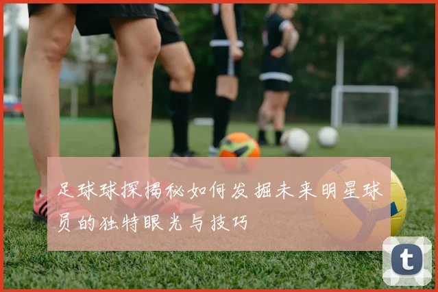 足球球探揭秘如何发掘未来明星球员的独特眼光与技巧