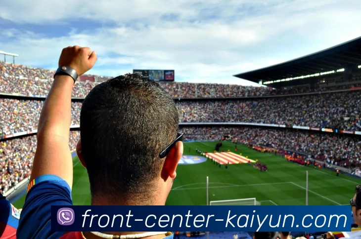 开云体育APP 高清赛事图